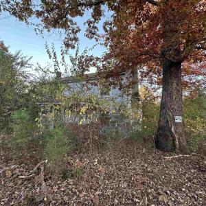Photo #7 of 3481 SOLITUDE LN, ESMONT, VA 2.5 acres