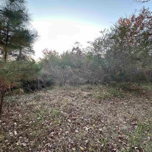 Photo #18 of 3481 SOLITUDE LN, ESMONT, VA 2.5 acres