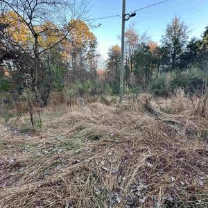 Photo #10 of 3481 SOLITUDE LN, ESMONT, VA 2.5 acres