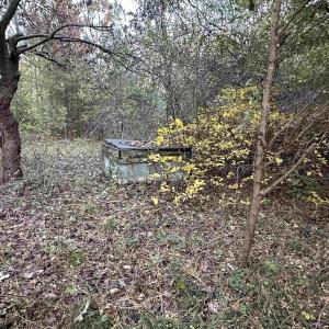 Photo #3 of 3481 SOLITUDE LN, ESMONT, VA 2.5 acres