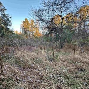 Photo #21 of 3481 SOLITUDE LN, ESMONT, VA 2.5 acres