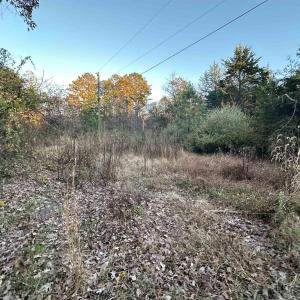 Photo #17 of 3481 SOLITUDE LN, ESMONT, VA 2.5 acres