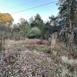 Photo #22 of 3481 SOLITUDE LN, ESMONT, VA 2.5 acres