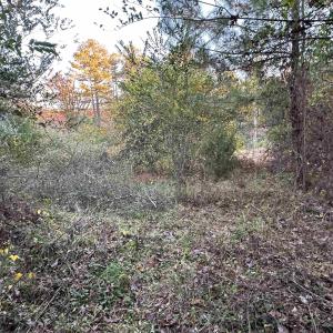 Photo #8 of 3481 SOLITUDE LN, ESMONT, VA 2.5 acres