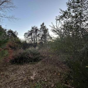 Photo #19 of 3481 SOLITUDE LN, ESMONT, VA 2.5 acres