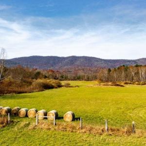Photo #22 of TBD JACKSON RIVER RD, MONTEREY, VA 76.4 acres