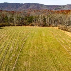 Photo #10 of TBD JACKSON RIVER RD, MONTEREY, VA 76.4 acres