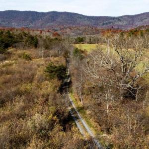 Photo #20 of TBD JACKSON RIVER RD, MONTEREY, VA 76.4 acres