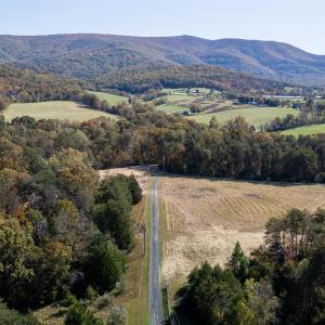 Photo #11 of Lot 1 YOUNG RD, RILEYVILLE, VA 8.6 acres