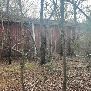 Photo #16 of MITCHELL FORD RD, LIGNUM, VA 96.5 acres