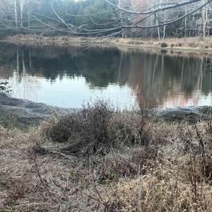 Photo #2 of MITCHELL FORD RD, LIGNUM, VA 96.5 acres