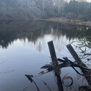 Photo #3 of MITCHELL FORD RD, LIGNUM, VA 96.5 acres