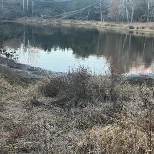 Photo #7 of MITCHELL FORD RD, LIGNUM, VA 96.5 acres