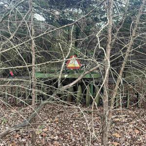 Photo #11 of MITCHELL FORD RD, LIGNUM, VA 96.5 acres