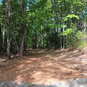 Photo #5 of OAKCREST LN, NELLYSFORD, VA 7.9 acres