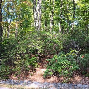 Photo #25 of OAKCREST LN, NELLYSFORD, VA 7.9 acres