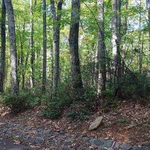 Photo #20 of OAKCREST LN, NELLYSFORD, VA 7.9 acres