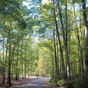 Photo #6 of OAKCREST LN, NELLYSFORD, VA 7.9 acres