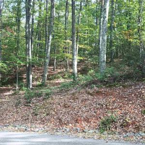 Photo #19 of OAKCREST LN, NELLYSFORD, VA 7.9 acres