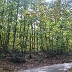 Photo #2 of OAKCREST LN, NELLYSFORD, VA 7.9 acres