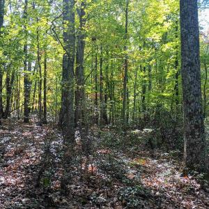 Photo #17 of OAKCREST LN, NELLYSFORD, VA 7.9 acres