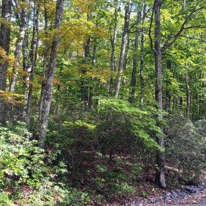 Photo #26 of OAKCREST LN, NELLYSFORD, VA 7.9 acres