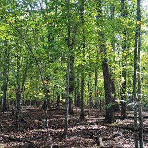 Photo #8 of OAKCREST LN, NELLYSFORD, VA 7.9 acres