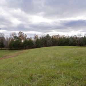 Photo #4 of Lot 1 B JIM LANE RD, SCOTTSVILLE, VA 21.4 acres