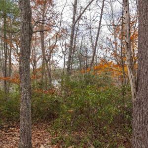 Photo #6 of Lot 1 B JIM LANE RD, SCOTTSVILLE, VA 21.4 acres