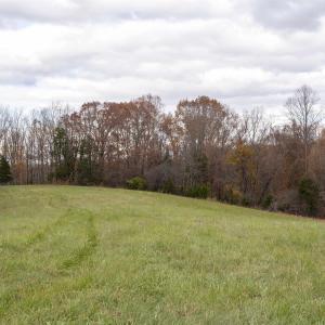 Photo #1 of Lot 1 B JIM LANE RD, SCOTTSVILLE, VA 21.4 acres