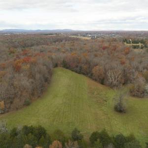 Photo #2 of Lot 1 B JIM LANE RD, SCOTTSVILLE, VA 21.4 acres