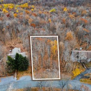 Photo #5 of 341 CHESTNUT PL, WINTERGREEN RESORT, VA 0.4 acres