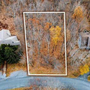 Photo #8 of 341 CHESTNUT PL, WINTERGREEN RESORT, VA 0.4 acres