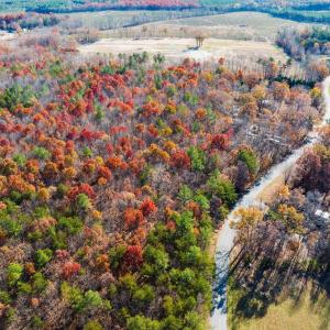 Photo #4 of HOLLANDS RD, BYBEE, VA 70.2 acres