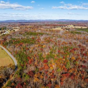 Photo #14 of HOLLANDS RD, BYBEE, VA 70.2 acres