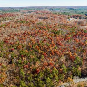 Photo #12 of HOLLANDS RD, BYBEE, VA 70.2 acres