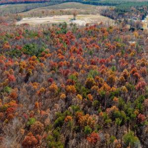 Photo #11 of HOLLANDS RD, BYBEE, VA 70.2 acres