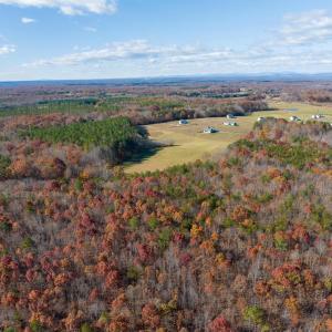 Photo #7 of HOLLANDS RD, BYBEE, VA 70.2 acres