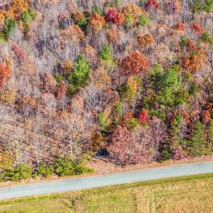 Photo #13 of HOLLANDS RD, BYBEE, VA 70.2 acres