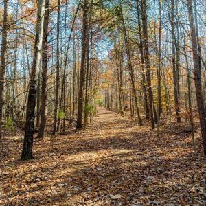 Photo #3 of HOLLANDS RD, BYBEE, VA 70.2 acres