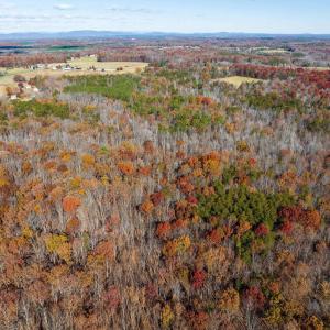 Photo #15 of HOLLANDS RD, BYBEE, VA 70.2 acres