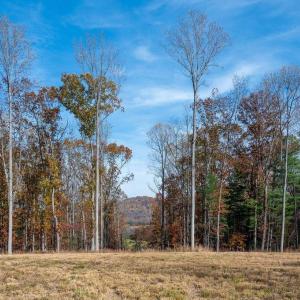 Photo #3 of TBD RED HILL RD, CHARLOTTESVILLE, VA 21.0 acres