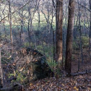 Photo #43 of TBD RED HILL RD, CHARLOTTESVILLE, VA 21.0 acres