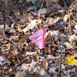 Photo #42 of TBD RED HILL RD, CHARLOTTESVILLE, VA 21.0 acres