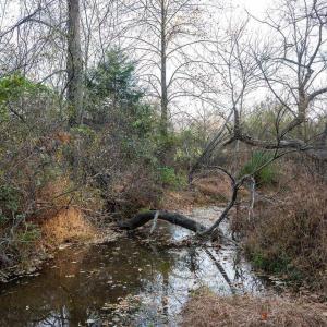 Photo #36 of TBD RED HILL RD, CHARLOTTESVILLE, VA 21.0 acres