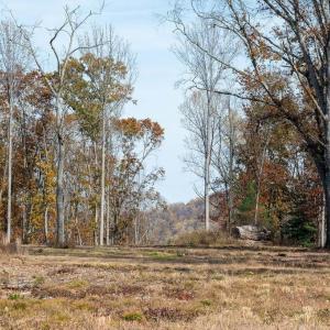 Photo #10 of TBD RED HILL RD, CHARLOTTESVILLE, VA 21.0 acres