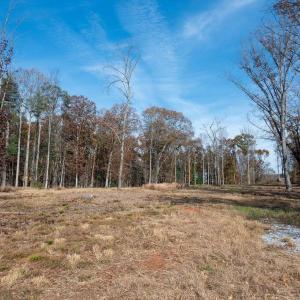 Photo #11 of TBD RED HILL RD, CHARLOTTESVILLE, VA 21.0 acres