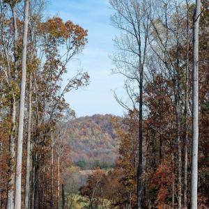 Photo #15 of TBD RED HILL RD, CHARLOTTESVILLE, VA 21.0 acres