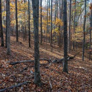 Photo #32 of TBD RED HILL RD, CHARLOTTESVILLE, VA 21.0 acres