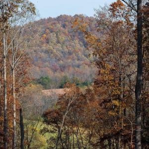 Photo #28 of TBD RED HILL RD, CHARLOTTESVILLE, VA 21.0 acres